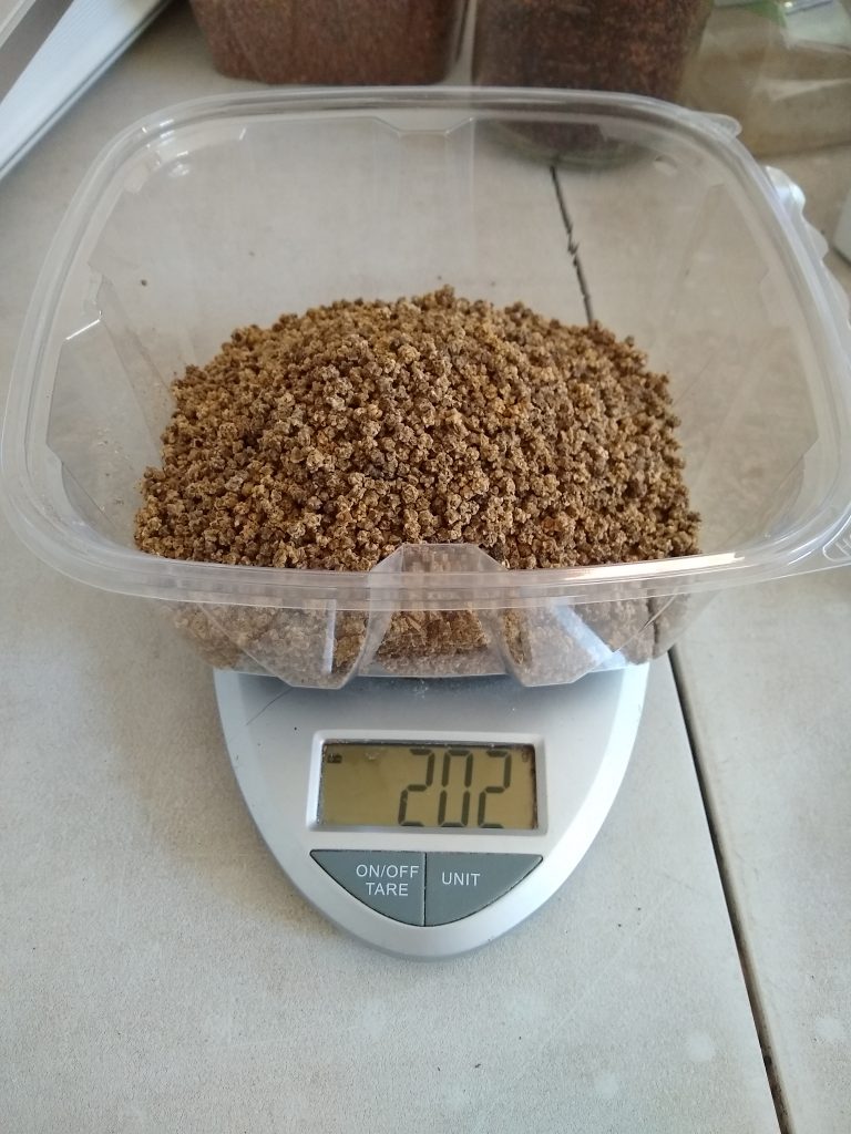 Top Microgreens Seed Sources Around The World Microgreens Farmer