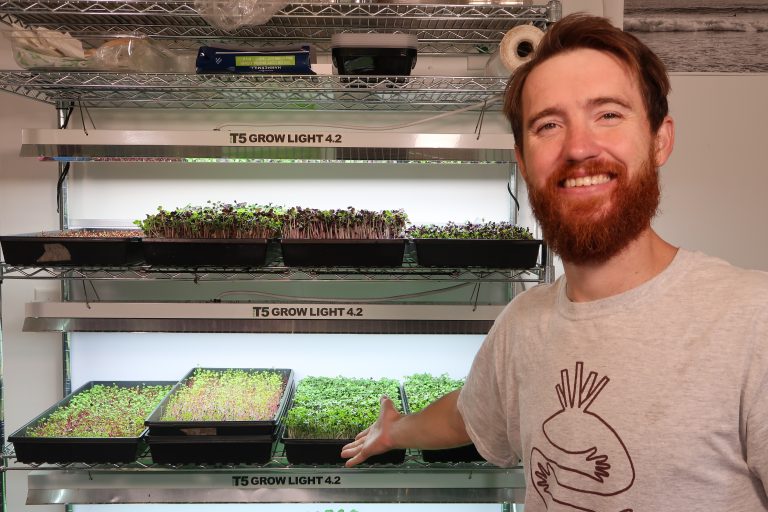 Best Tips For Selling Microgreens Microgreens Farmer